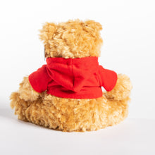 Load image into Gallery viewer, RCN Teddy Bear
