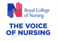 Load image into Gallery viewer, 'The Voice of Nursing' A3 dual-side placard
