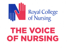 Load image into Gallery viewer, 'The Voice of Nursing' A3 dual-side placard
