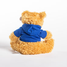 Load image into Gallery viewer, RCN Teddy Bear
